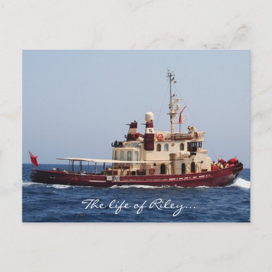 Het leven van Riley briefkaart (Voorkant)