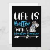 Het leven van vrouwen is beter dan dat van de mini aankondiging (Voorkant / Achterkant)