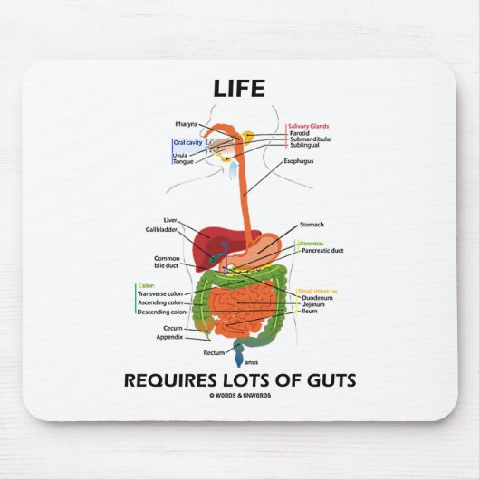Het leven vereist veel darmen (spijsverteringsstel muismat (Voorkant)