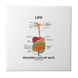 Het leven vereist veel darmen (spijsverteringsstel tegeltje