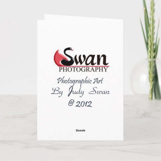 Het leven, zoals een broodje van toiletpapier kaart (Achterkant)