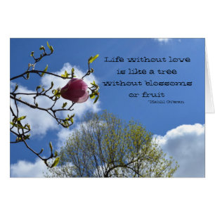 Het leven zonder liefde is als