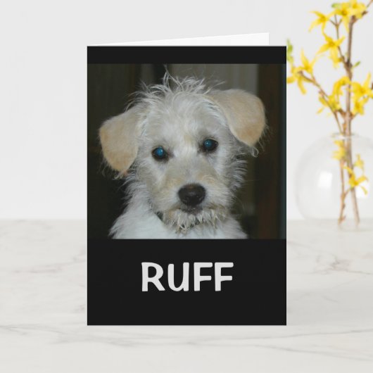 Het leven zou KEMPHAAN zonder een Vriend als u Kaart (Gele Bloem)