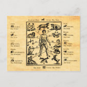 Het lichaam, zoals bestuurd door de twaalf constel briefkaart (Voorkant)