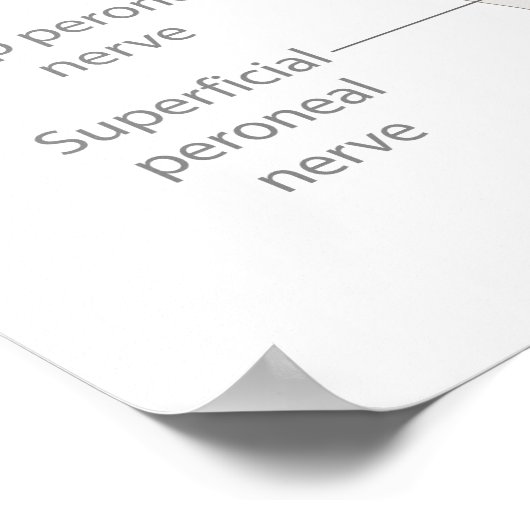 Het lichaamsdiagram van het zenuwstelsel van het m poster (Hoek)