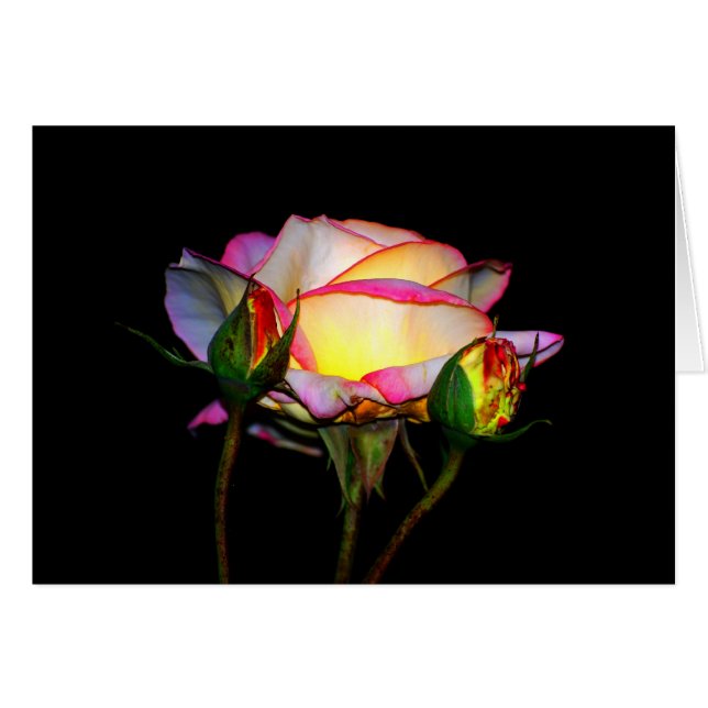 Het licht binnen (Voorkant Horizontaal)