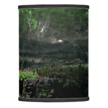 Het licht in het donker