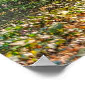 Het licht van bovenaf in het bos poster (Hoek)