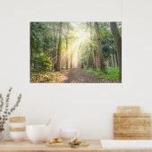 Het licht van bovenaf in het bos poster (Keuken)