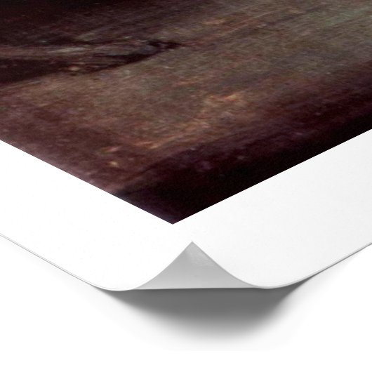 Het licht van de duivel van Francisco de Goya Poster (Hoek)