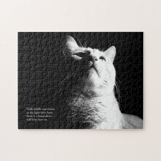 Het Licht van de legende Legpuzzel (Horizontaal)