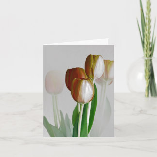 Het Licht van de winter Kaart