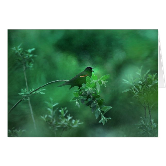 Het lied (Voorkant Horizontaal)