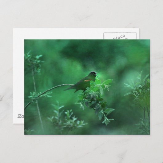 Het lied briefkaart (Voorkant / Achterkant)