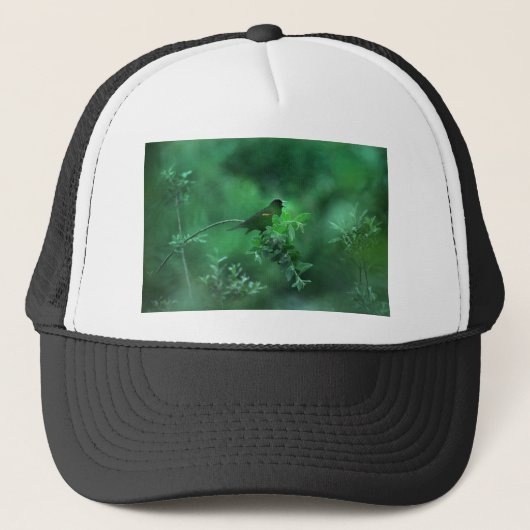 Het lied trucker pet (Voorkant)