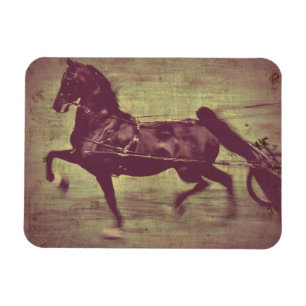 Het Lied van Saddlebred Magneet