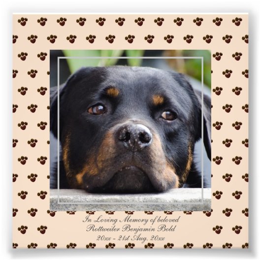 Het liefhebben van de Rottweiler van het Geheugen Foto Afdruk (Voorkant)