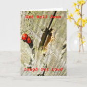 Het lieveheersbeestje/het Onzelieveheersbeestje Kaart (Gele Bloem)