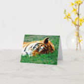 Het Liggen van de tijger de Kaart van de Nota (Gele Bloem)