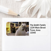 Het ligt achter me...Is het niet? Etiket (Insitu)