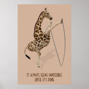 Het lijkt altijd onmogelijk tot het is gedaan poster