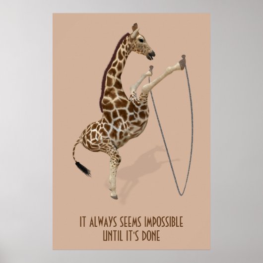 Het lijkt altijd onmogelijk tot het is gedaan poster (Voorkant)