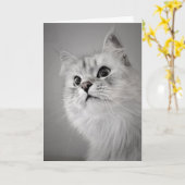 Het lijkt erop dat het je verjaardag is! (Kaart) Kaart (Gele Bloem)