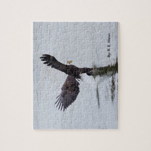 Het lijkt erop dat puzzels/adelaars op water lopen legpuzzel (Verticaal)