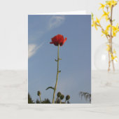 Het limiet Wenskaart van The Sky Kaart (Gele Bloem)