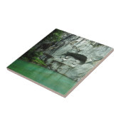 Het Lion Monument in Lucerne Tegeltje (Zijkant)