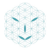 het Logo 01, Cyaan/Rood Trucker Pet