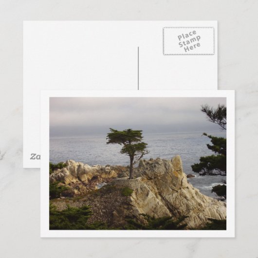 Het Lone Cyprus Briefkaart (Voorkant / Achterkant)