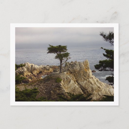 Het Lone Cyprus Briefkaart (Voorkant)