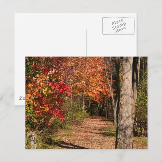 Het looppad briefkaart (Voorkant / Achterkant)