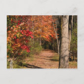 Het looppad briefkaart (Voorkant)