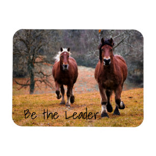 Het lopen de Paarden zijn de Leider Magneet