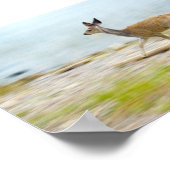 Het lopen Fawn Druk Poster (Hoek)