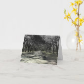 Het lopen in Wormsloe Kaart (Gele Bloem)