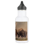 Het lopen met Buffalo Waterfles (Rechts)