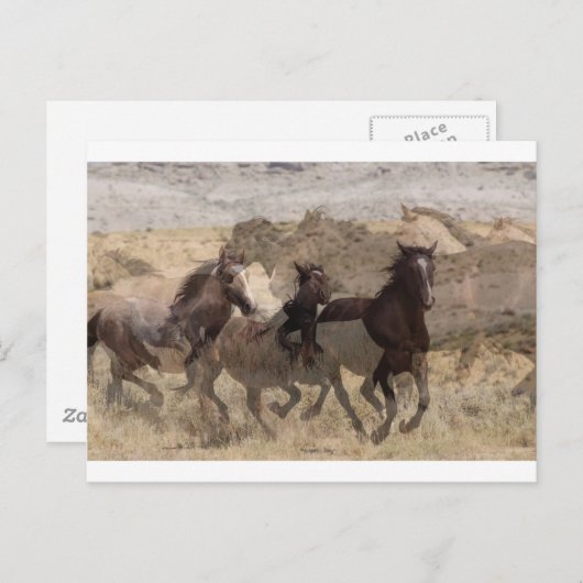 Het lopen met de wilde. briefkaart (Voorkant / Achterkant)