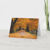 Het lopen onderaan de Steeg van het Geheugen van Kaart (Achterkant)