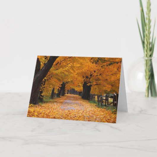 Het lopen onderaan de Steeg van het Geheugen van Kaart (Voorkant)