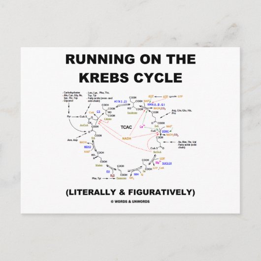 Het lopen op de cyclus van Krebs (de Humor van de Briefkaart (Voorkant)