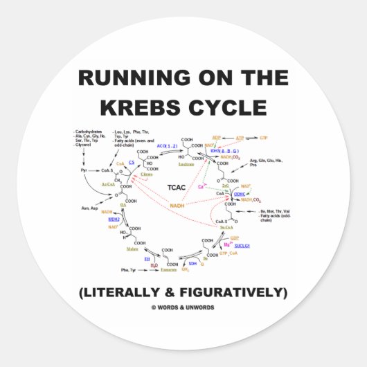 Het lopen op de cyclus van Krebs (de Humor van de  Ronde Sticker (Voorkant)