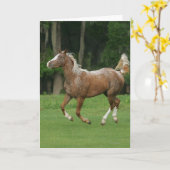 Het Lopen van het Paard van Appaloosa Kaart (Gele Bloem)