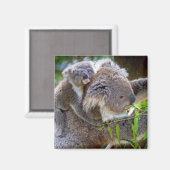 Het Lot van de Natuur van de Liefde van de Vrede Magneet (Voorkant / Achterkant)