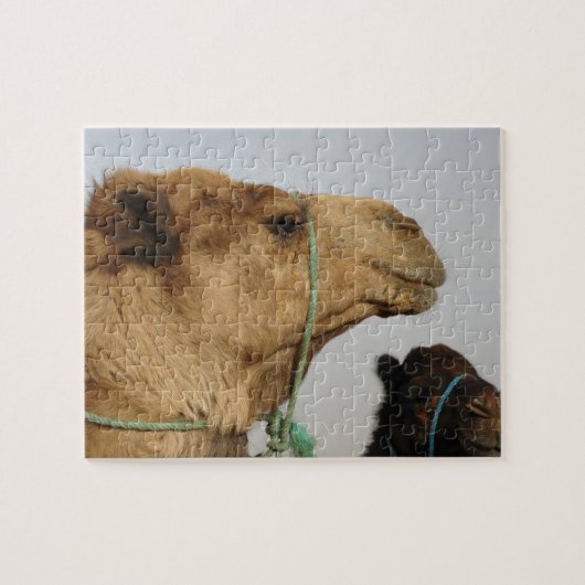 Het Lot van de Natuur van de Liefde van de Vrede v Legpuzzel (Horizontaal)