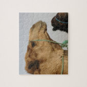 Het Lot van de Natuur van de Liefde van de Vrede v Legpuzzel (Verticaal)