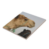 Het Lot van de Natuur van de Liefde van de Vrede v Tegeltje (Zijkant)