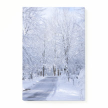 Het Lot van het Lot van de Sneeuw van de Winter